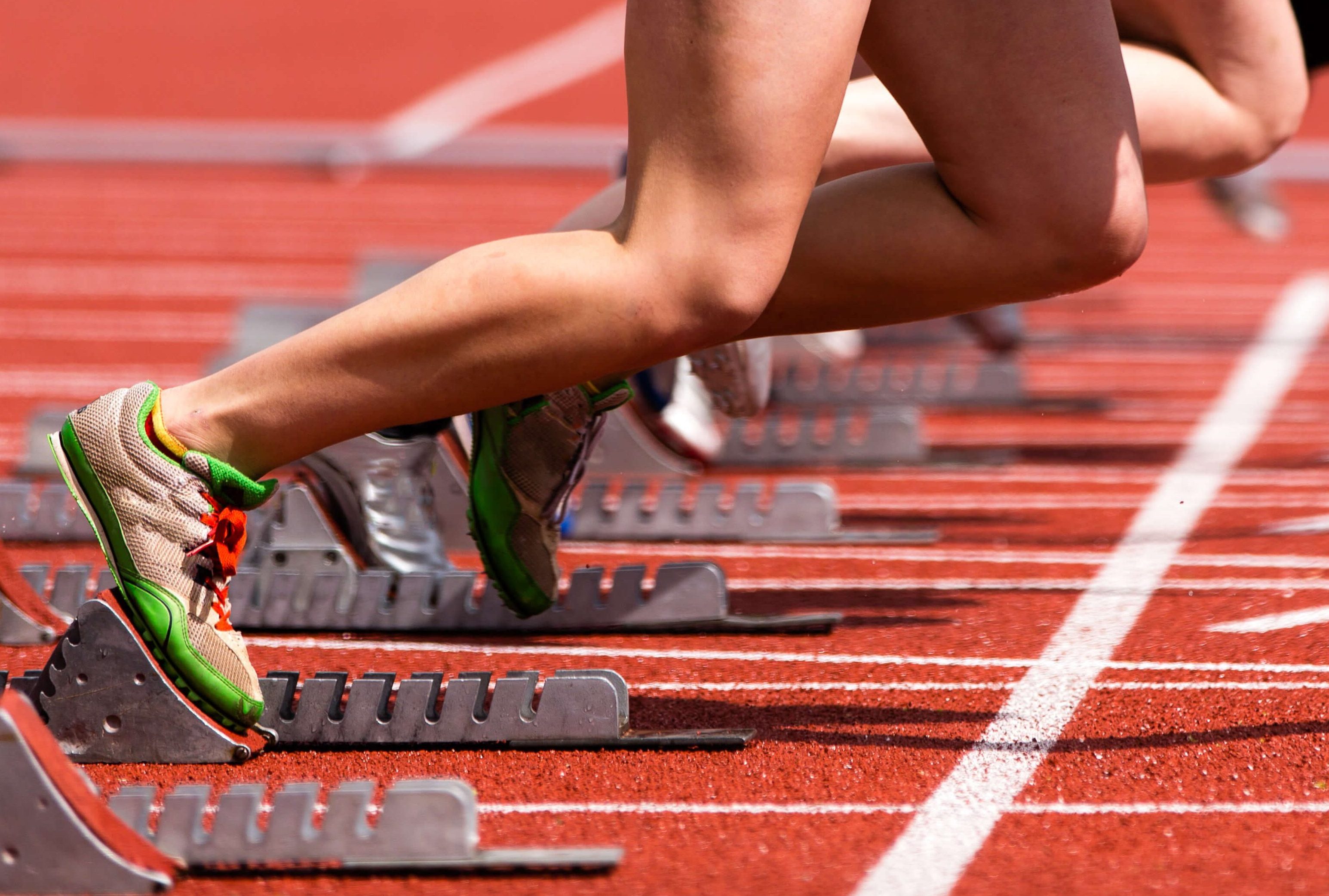 体育学部 スポーツ学部 とは 学べる内容や資格 就職情報をご紹介 オンライン家庭教師メガスタ 高校生